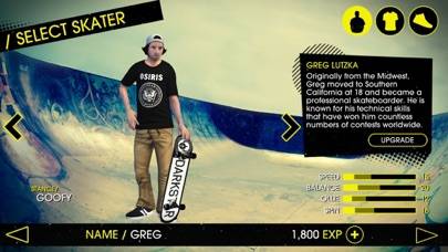 Skateboard Party: 3 game screenshot