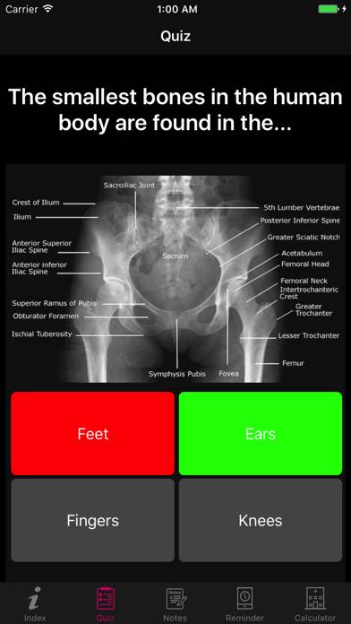 Amazing Human Body Facts, Quiz App screenshot #2