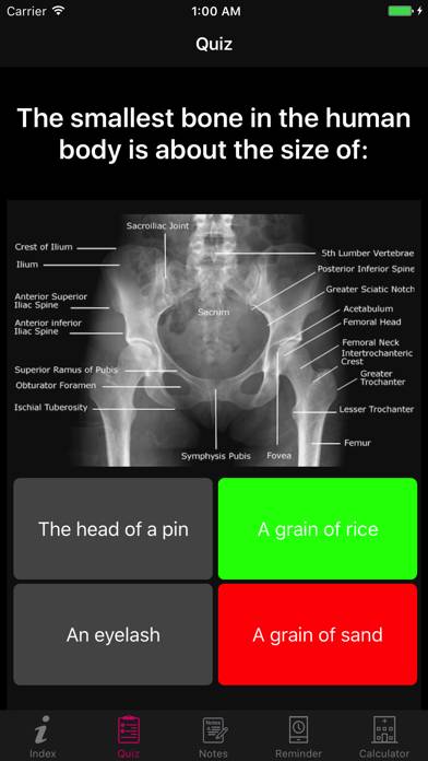Amazing Human Body Facts, Quiz App screenshot #4