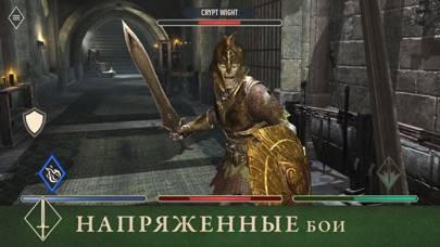 The Elder Scrolls: Blades game screenshot