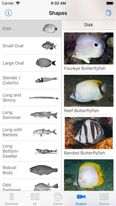 Easy Fish ID Caribbean App screenshot #2