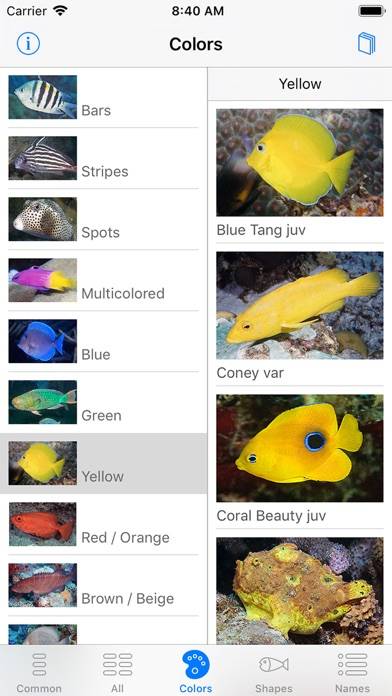 Easy Fish ID Caribbean App screenshot #4