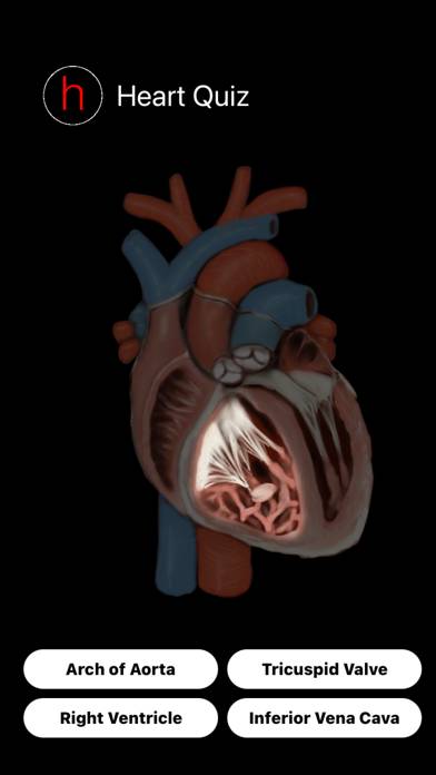 Human Heart Anatomy Quiz App screenshot #1