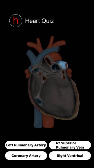 Human Heart Anatomy Quiz App screenshot #4