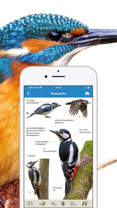 NABU Vogelwelt App-Screenshot