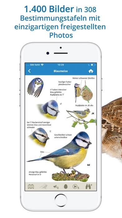 NABU Vogelwelt App-Screenshot #4