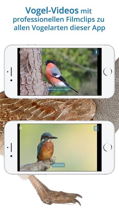 NABU Vogelwelt App-Screenshot #5