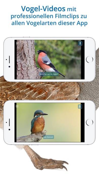 NABU Vogelwelt App screenshot #5