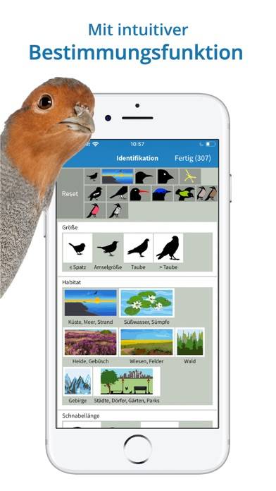 NABU Vogelwelt App-Screenshot #6