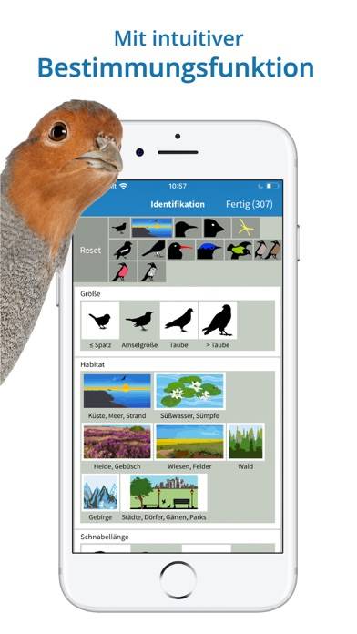 NABU Vogelwelt App-Screenshot