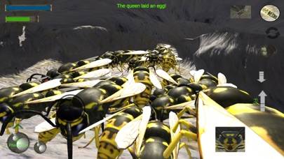 Wasp Nest Simulation Full App screenshot #4