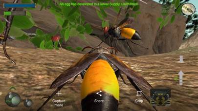 Wasp Nest Simulation Full App screenshot #5