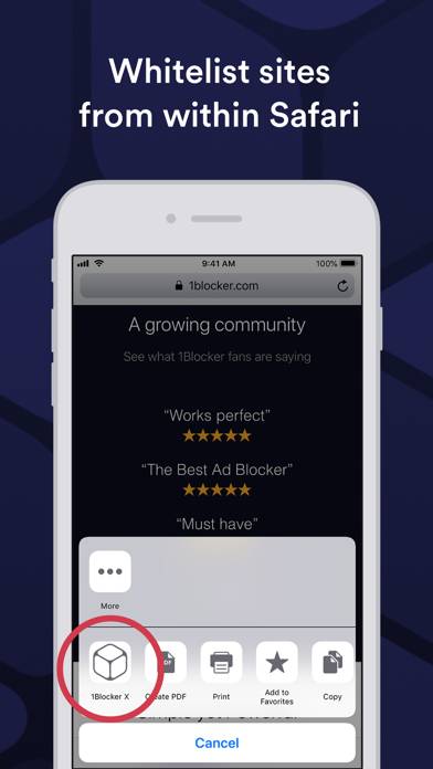 1Blocker App screenshot #4
