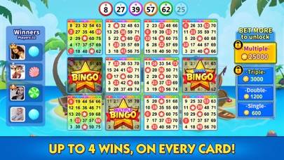 Bingo Lucky App screenshot #4