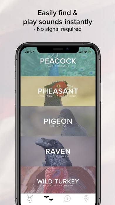 Game Calls USA screenshot #4
