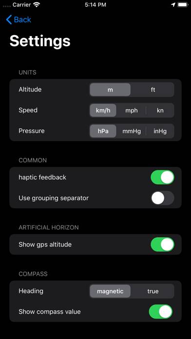 Artificial Horizon Captura de pantalla de la aplicación #2