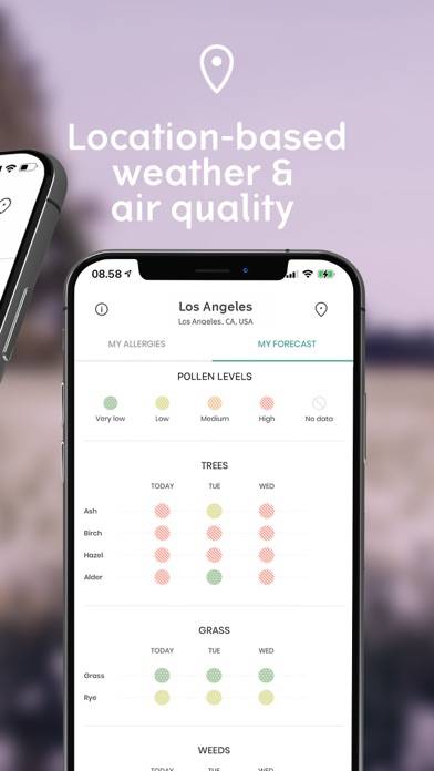 Klarify: Pollen app, Hay fever App-Screenshot #2