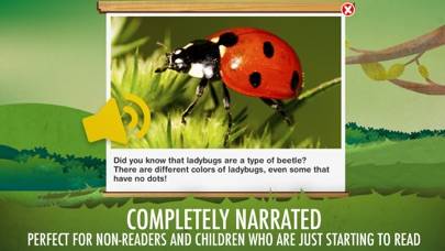 The Bugs I: Insects? App screenshot #6