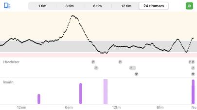 Dexcom G6 mmol/L DXCM1 App skärmdump