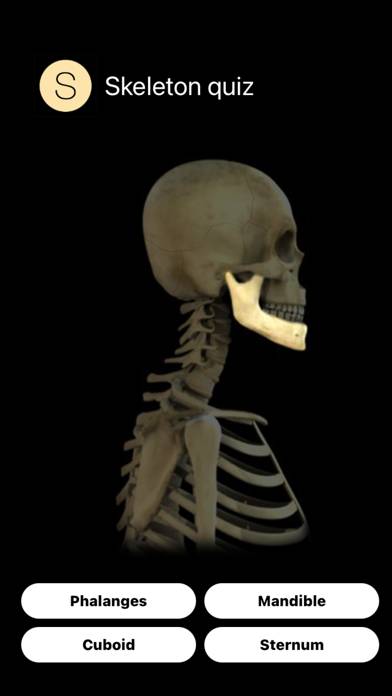 Human Skeleton Quiz App screenshot #3