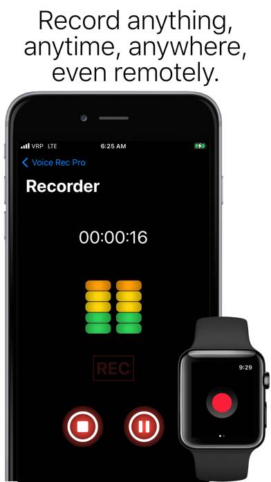 Voice Recorder Professional App skärmdump #1