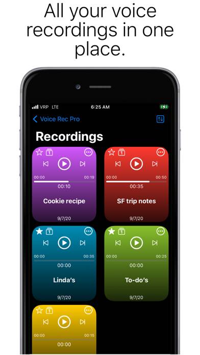 Voice Recorder Professional App skärmdump #2