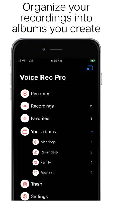 Voice Recorder Professional App skärmdump #3