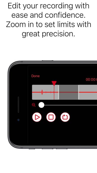 Voice Recorder Professional Captura de pantalla de la aplicación #5