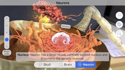 Brainapse App screenshot
