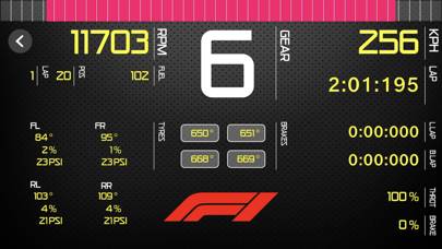 Sim Racing Dashboard captura de pantalla #1