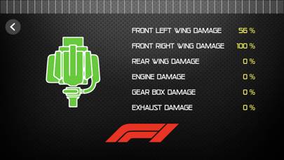 Sim Racing Dashboard captura de pantalla #4