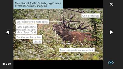 Jagd-Lern App Schermata dell'app #4