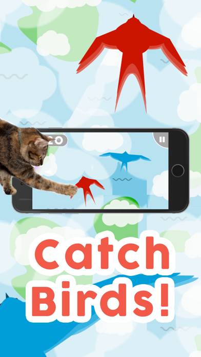 Games for Cats! Capture d'écran de l'application #3