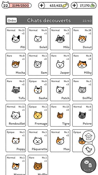 Cats are Cute Скриншот приложения #6