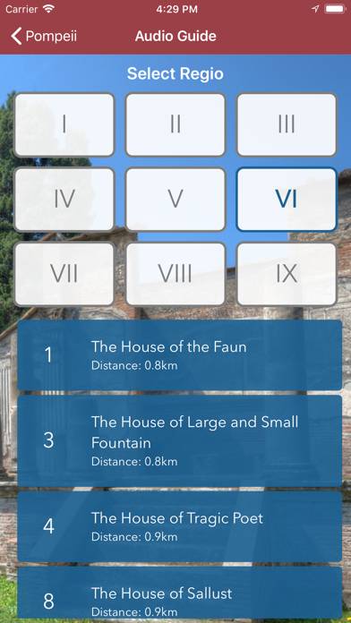 Planet Pompeii Audioguide PRO Schermata dell'app #3