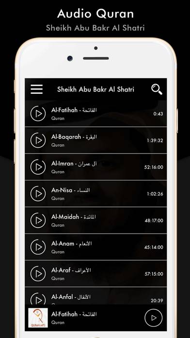 Quran Sheikh Abu Bakr Al Shatr App screenshot #1