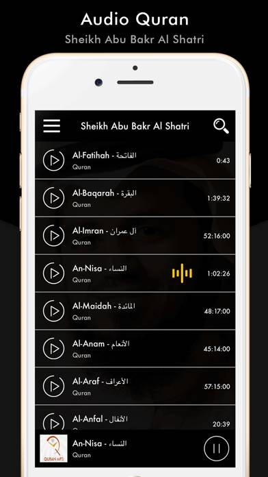 Quran Sheikh Abu Bakr Al Shatr App screenshot #4