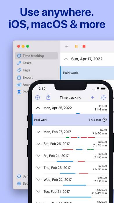 WorkingHours • Time Tracking App-Screenshot #3