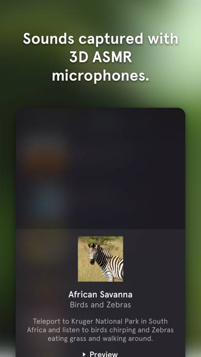 Serene – Ambient 3D Sounds Captura de pantalla de la aplicación #4