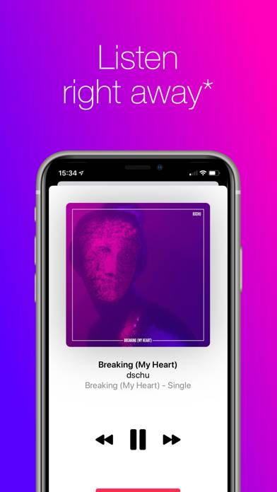 IDigMusic Captura de pantalla de la aplicación