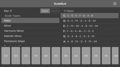 ScaleBud - AUv3 MIDI Keyboard immagine dello schermo