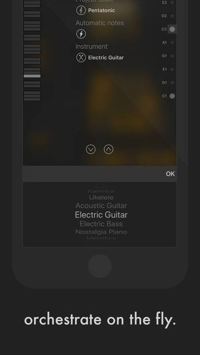 Sonogrid Captura de pantalla de la aplicación #2