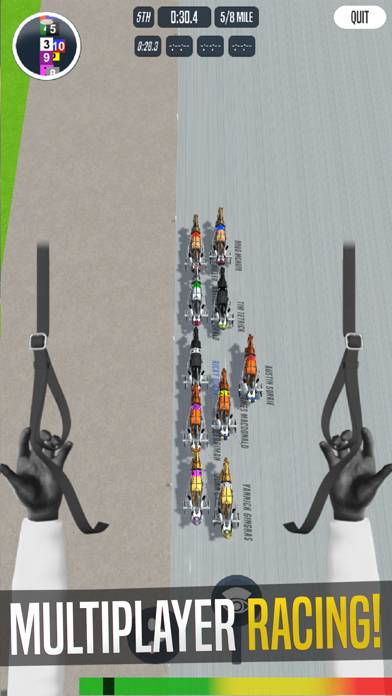 Catch Driver: Horse Racing game screenshot