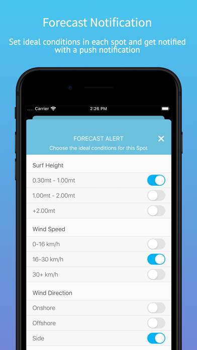 Line app Surf Forecast Schermata dell'app #2