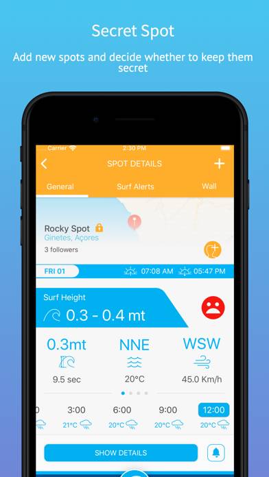 Line app Surf Forecast Schermata dell'app #4