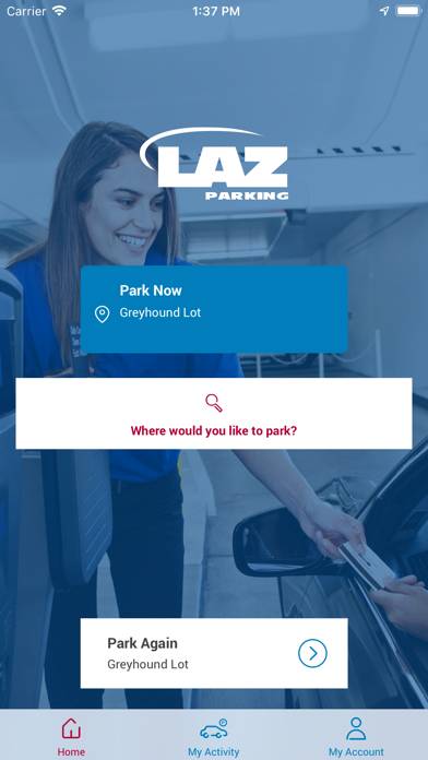 LAZ Parking screenshot