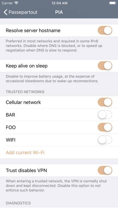 Passepartout, VPN Klient skärmdump