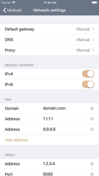 Passepartout, VPN Klient App skärmdump