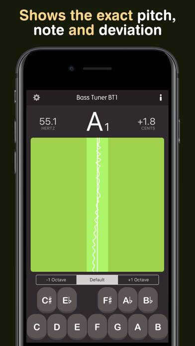 Bass Tuner BT1 Pro Schermata dell'app #1