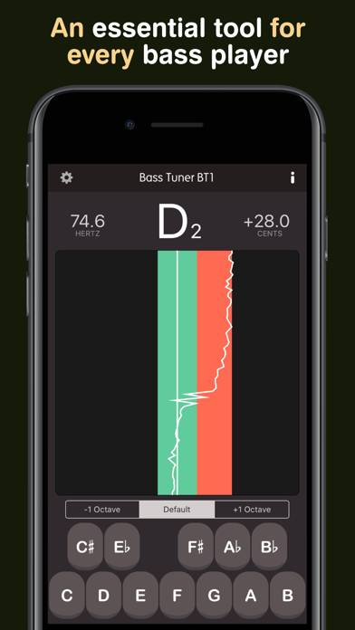 Bass Tuner BT1 Pro Schermata dell'app #3